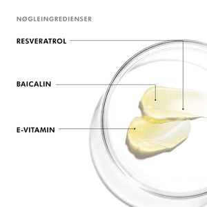 Resveratrol BE Night Face Serum